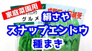 絹さやとスナップエンドウの種まき 家庭菜園用 宇陀ガーデン Youtube 絹さやとスナップエンドウの種まき 家庭菜園用 宇陀ガーデン Youtube