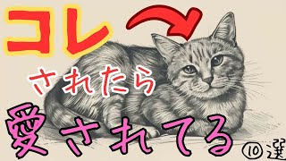 90の人が知らない猫の愛情表現10選　#ねこ #cat #ずんだもん #猫好きさんと繋がりたい