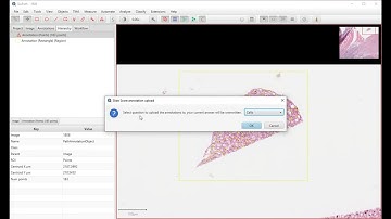 QuPath analyzing slides stored in Slide Score