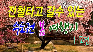 전철타고 갈 수 있는 수도권 봄 여행지 9곳/ 아름다운 봄여행지 (내용오류 묵동입니다)