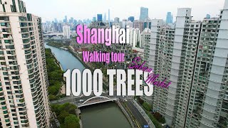 Shanghai walking tour 4k 1000 trees location. Прогулка по Шанхаю, локация -1000 деревьев