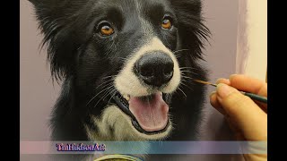 Painting a realistic Border Collie dog in acrylic paints - Timelapse Art