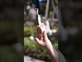 mini portable fans #gadgests #trending #home #youtubeshorts