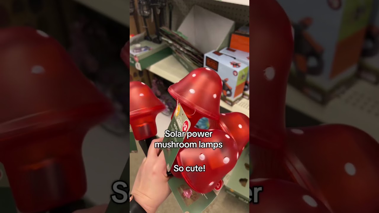 Dreamy Fairy Garden DIY with 