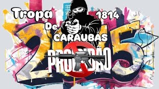Deste Fp Do Morro Tropa De Caraubas Sdc 1814