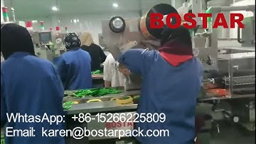 Automatic Packing Machine for Instant Noodles Cakes Flow Wrapper/ wrapping/sealing/Packaging Machine