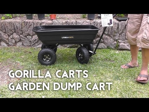 Gorilla