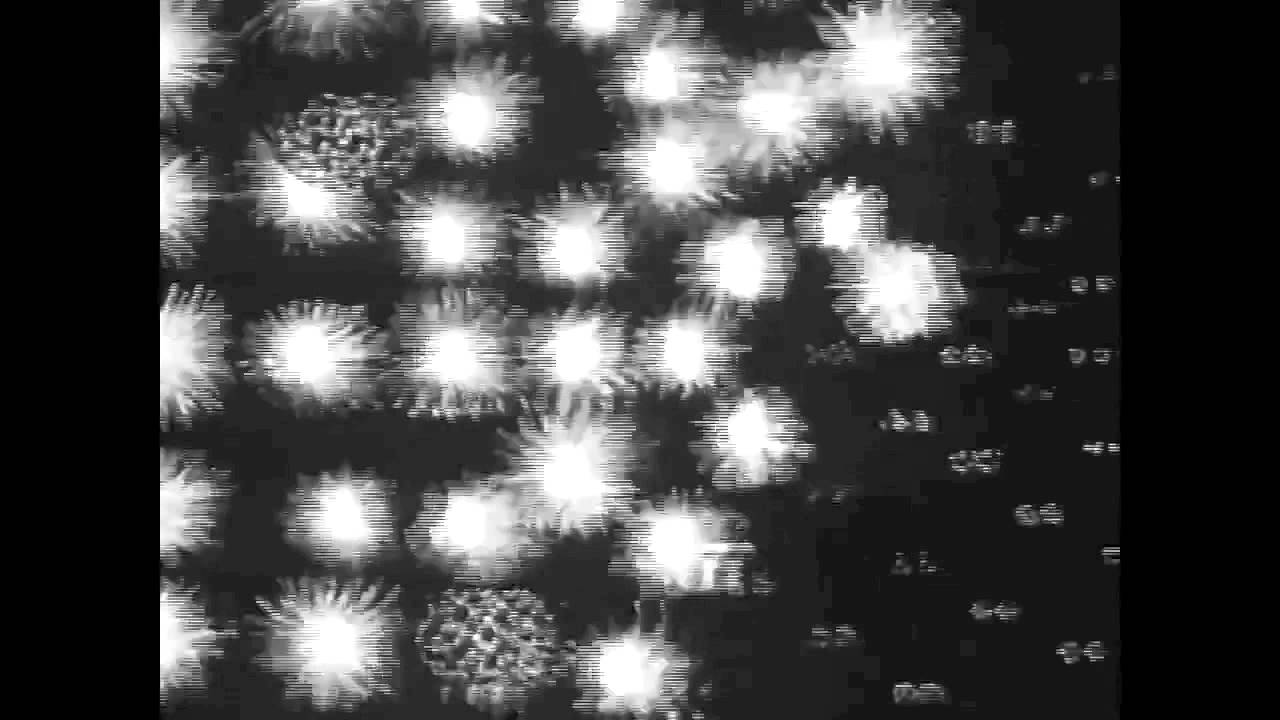 Chromatics Tick Of The Clock YouTube