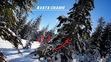 DJI Avata Crashes into tree - found buried in the snow!