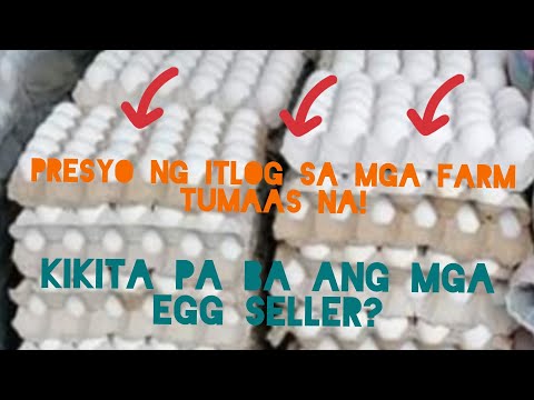 Video: Paano Makahanap Ng Isang Nagbibigay Ng Itlog