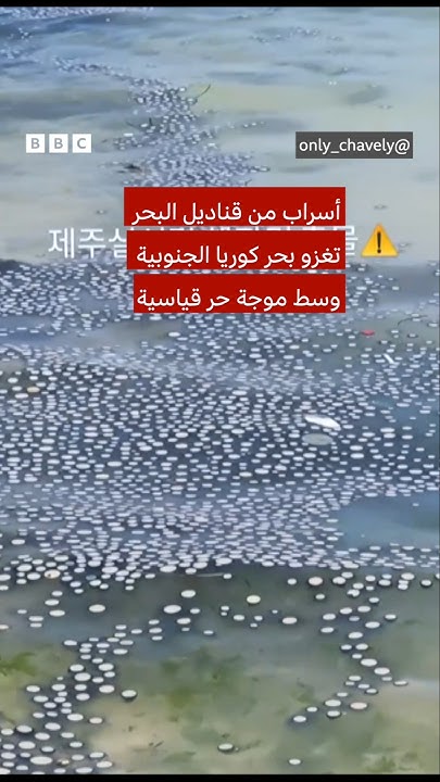             
 - نشر قبل 2 ساعة