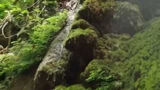 Водопад "Мужские слёзы" в Туапсинском районе посёлок Агой