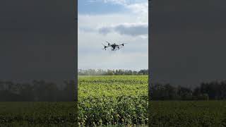Химическая обработка полей агродронами DJI (предпосевная обработка)