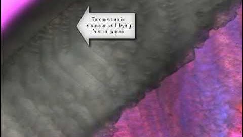 Example of freeze drying microscopy