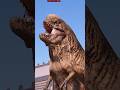 INDOMINUS REX Vs DISTORTUS REX - Jurassic World Evolution 3 #jurassicworld