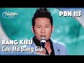 Bằng Kiều - Cơn Mơ Băng Giá (Lê Thành Trung) PBN 115