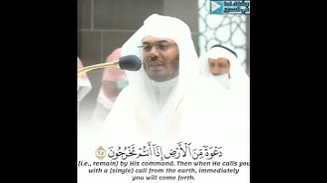 الشيخ ياسر الدوسري( ومن آياته أن تقوم السماء والأرض بأمره ) تلاوة رائعة