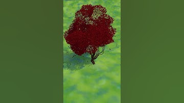 Stylized tree | Animations with Blender