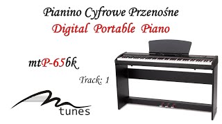 Elektronische tragbares Piano M-tunes mtP-65bk Schwarz E-Piano