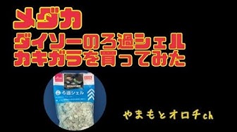 メダカ ダイソーのろ過シェル カキガラ を買ってみた Youtube