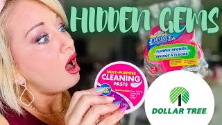 Unveiling Dollar Tree’s Best-Kept secrets:  Discover Hidden Gems on a budget!