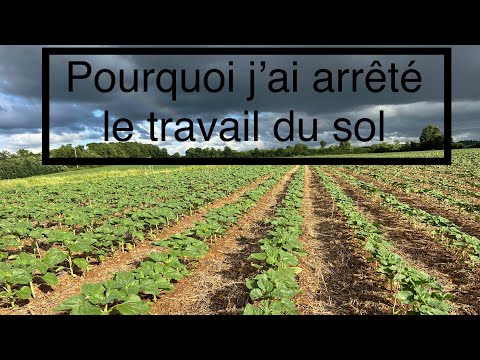 Vidéo: Pourquoi le sol est-il retourné pendant le travail du sol ?