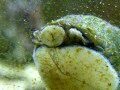 how to exhaust your grow box .bonus clip of a sea monster ! lol how to exhaust your grow box .bonus clip of a sea monster ! lol