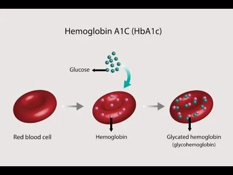 Glycohemoglobin Test Or Glycated Hemoglobin Test HBA1c Test for ...