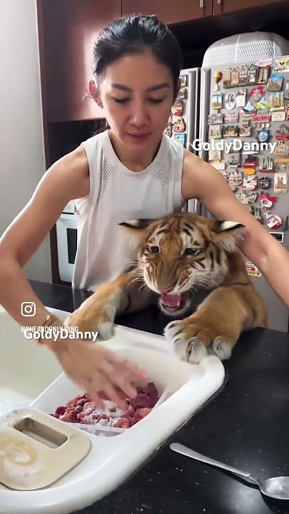 Let me Eat Mumma 😡#tiger #cubs #cute #wildlife Adding Fish Oil ,Vitamins ​⁠