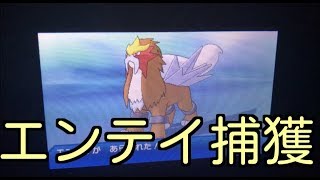 ポケモン ウルトラムーン 伝説のポケモン エンテイ 捕獲 Youtube