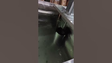 The 1 ton brine block ice machine for a Congolese customer has been completed