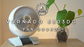 Relax and Unwind with Fan White Noise | 8 Hours of Sound of Blade Fan | Vornado Energy Smart 6303DC