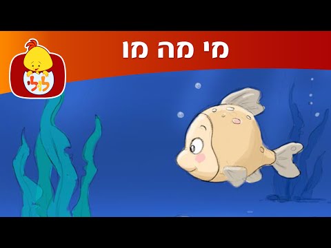 וִידֵאוֹ: מה המדע לומד דגים