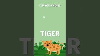 Tigers are super cats! Have you tried the tiger pose? #yogaguppy #kidsyoga #tiger