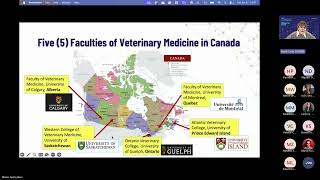 Famous EARA Webinar: The Role of Veterinarians in Animal Research Wealth
