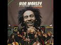 BOB MARLEY & THE CHINEKE! ORCHESTRA