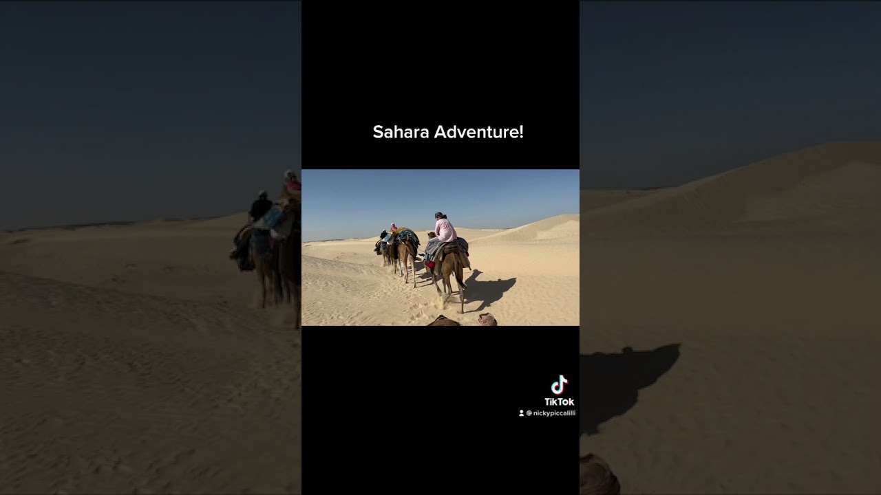 Sahara Adventure!