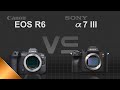 Canon EOS R6 vs Sony alpha a7 III