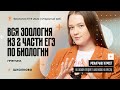 Вся зоология из 2 части ЕГЭ по биологии 2024. Практика| Розыгрыш