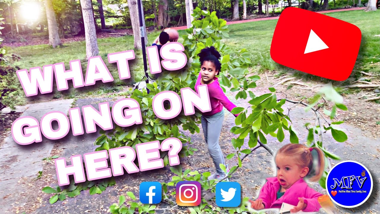 What is Going on Here? | Positive Daily Vlogs 2021.