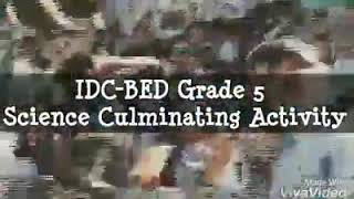 IDC-BED Grade 5  Science Culminating Activity