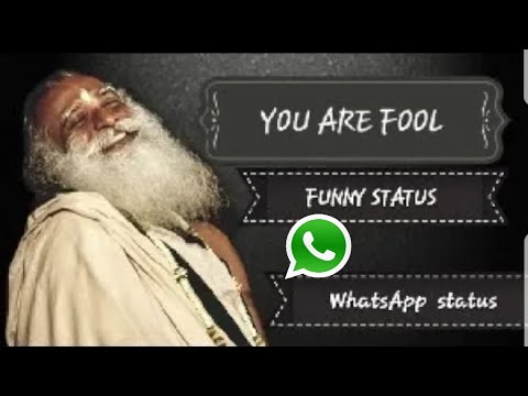 on-fools-sadhguru-whatsapp-status-funny-english-whatsapp-status