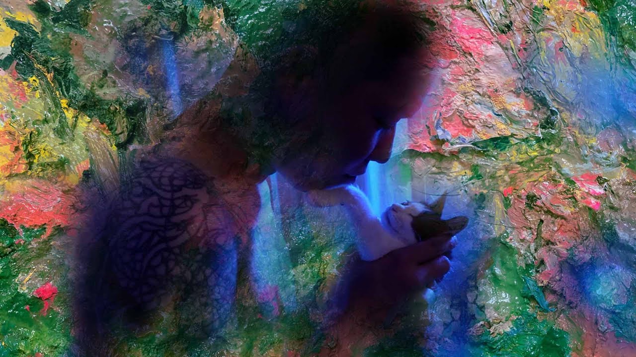 『運命-さだめ-』Pull the Wire Music Video  監督 三谷三四郎(街録ch)