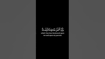 كرومات قرآن شاشه سوداء _ سورة النمل الآية ١٩ _ القارئ ♡ #بلال_دربالي#اكسبلور_فولو