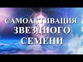 Самоактивация Звездного Семени