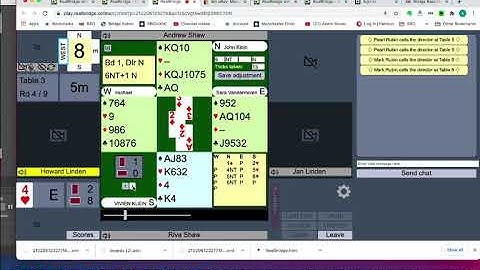Viewing and replaying hands on RealBridge