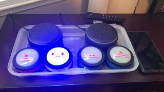 Easy to use Buttons for controlling Alexa- Technology 4 Seniors
