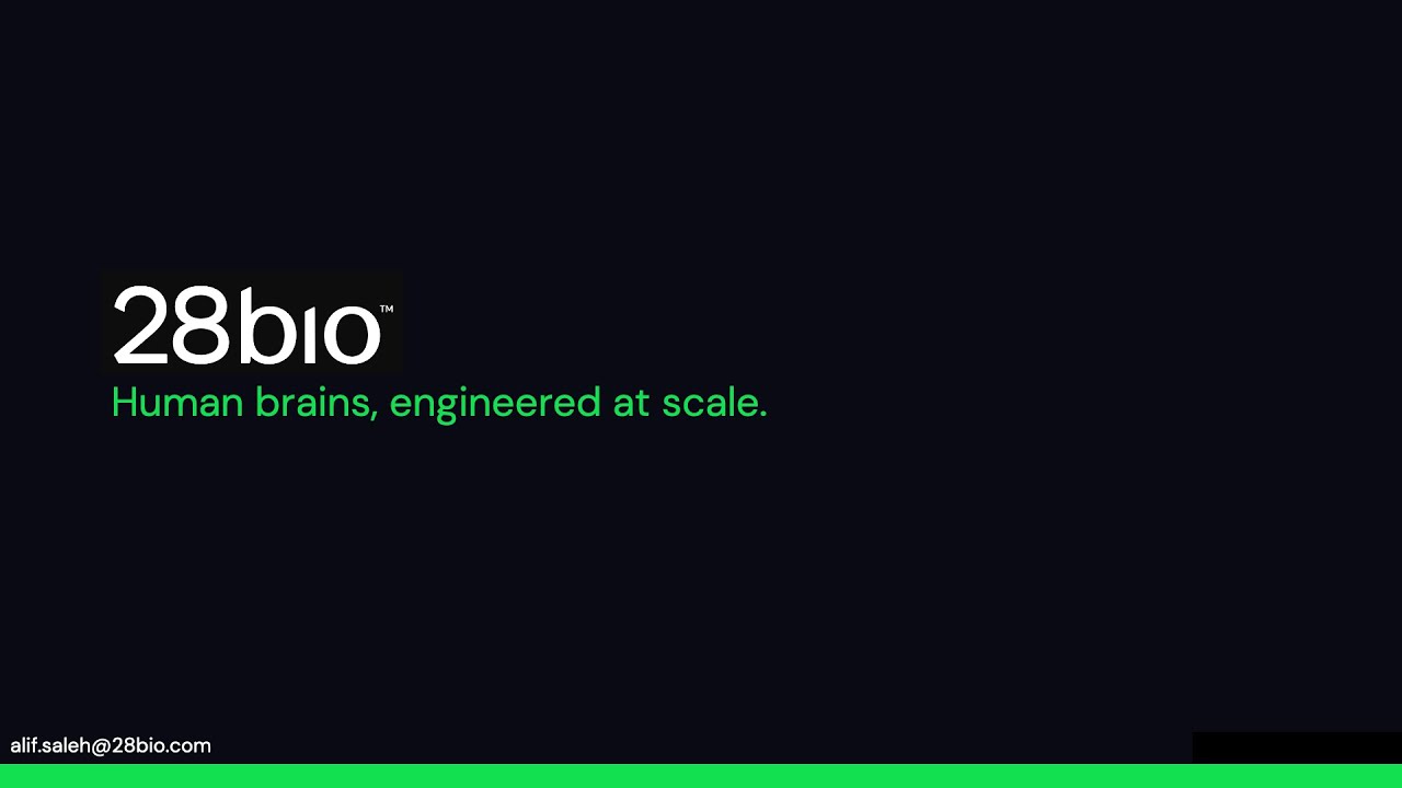 28bio: Human Brain Organoids for Neurology Drug Development