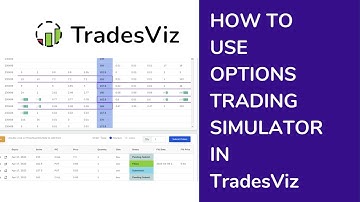 TradesViz Trading Journal - How use Options Trading Simulator