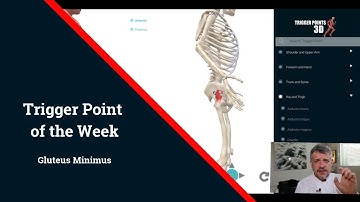 Trigger Point of the Week - Gluteus Minimus